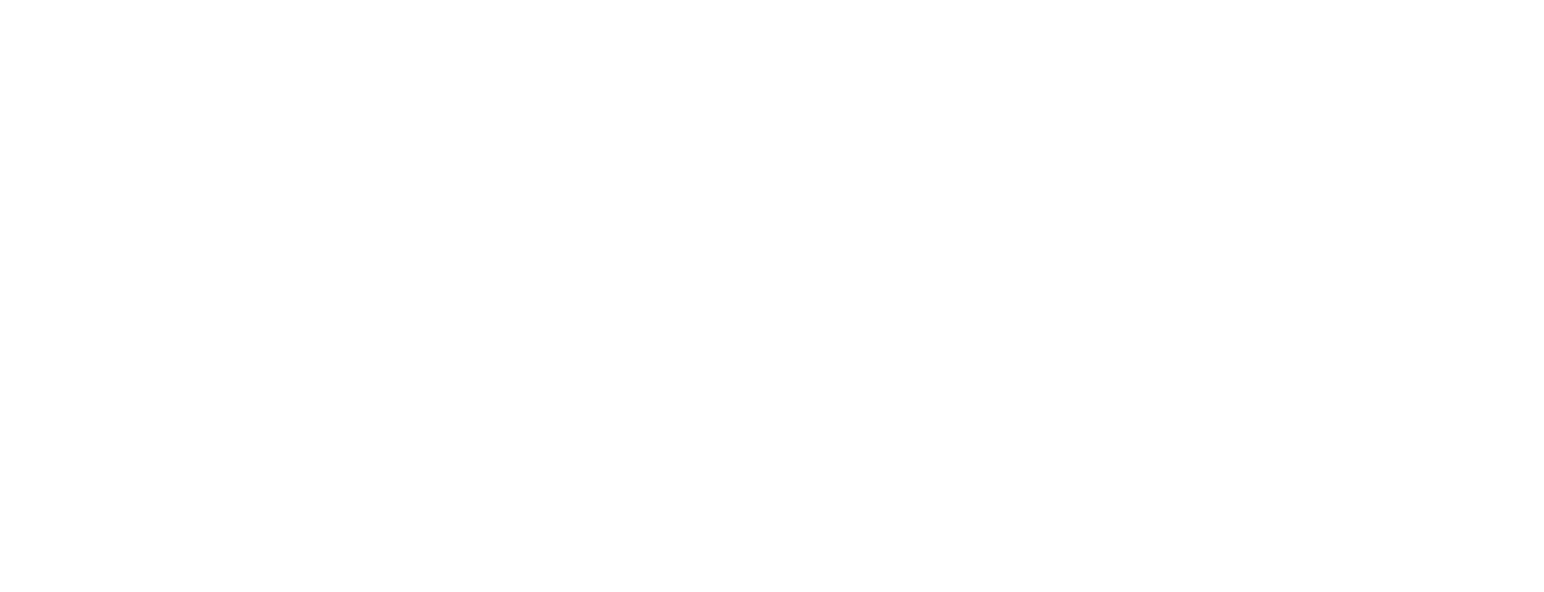 Kickfin